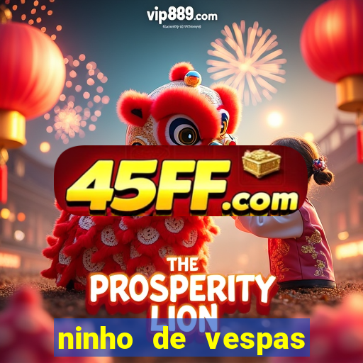 ninho de vespas significado espiritual